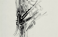 -21x29,7cm -  crayon pastel + lavis - 20