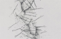 - 27x150cm - crayon mine de plomb - 2007