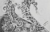- 61x81cm - crayon mine de plomb - 20