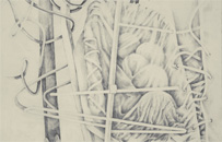 - 81x122cm - crayon mine de plomb